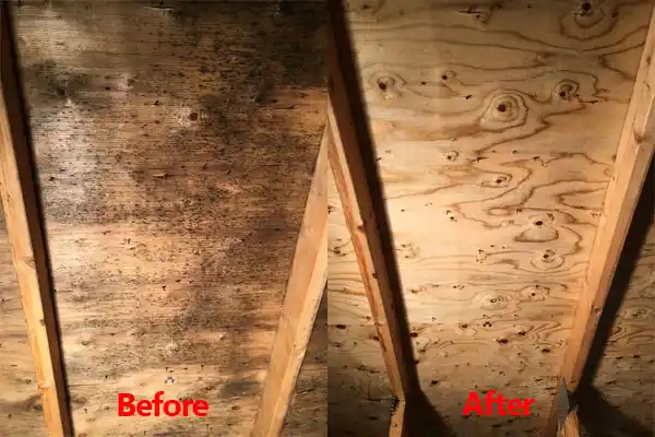 water damage restoration service San Ysidro